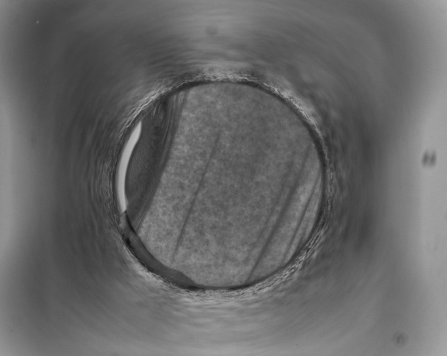 X0000097920009200804111152