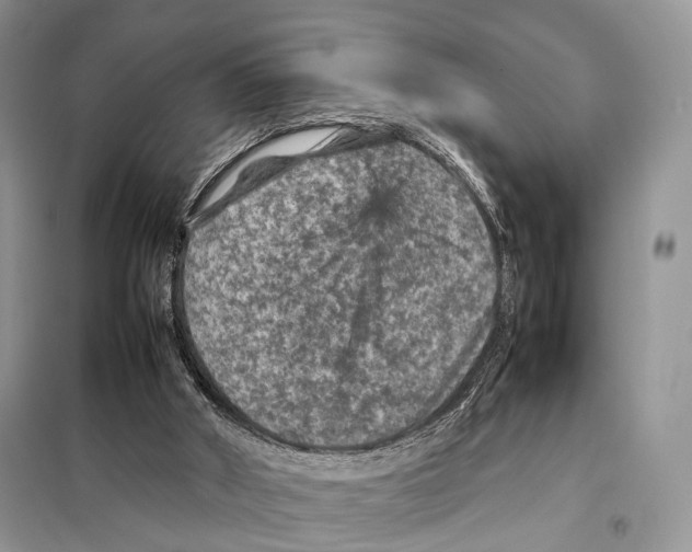 X0000097920010200804111152