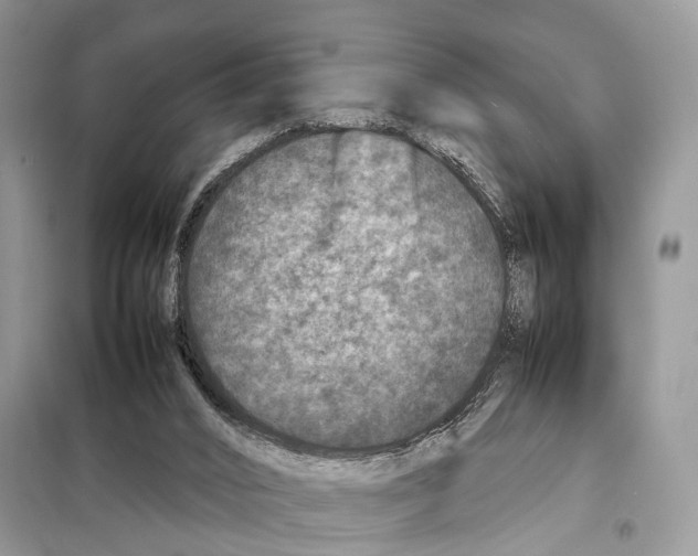 X0000097920016200804111152