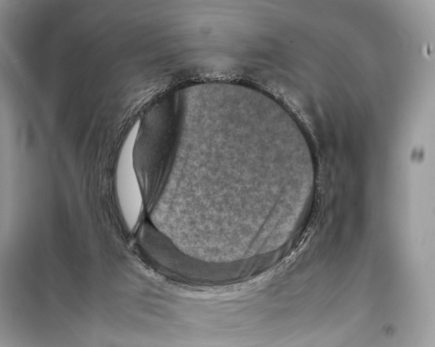 X0000097920017200804111152