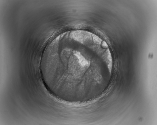 X0000097920018200804111152