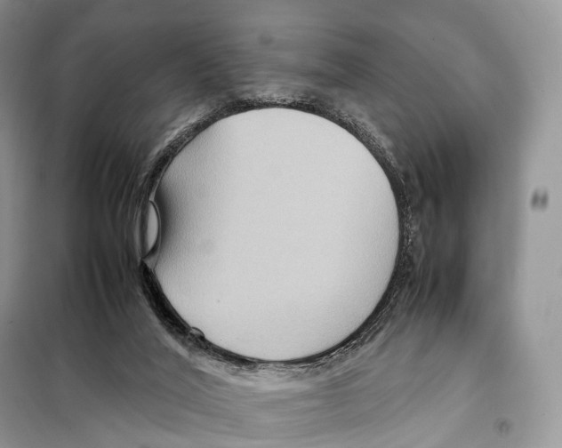 X0000097920020200804111152