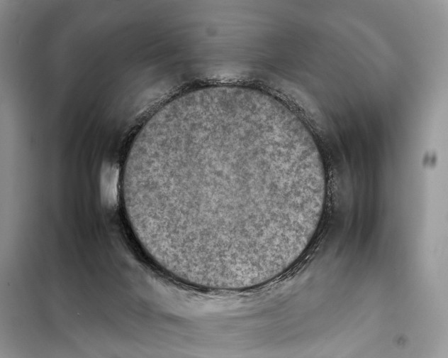 X0000097920024200804111151