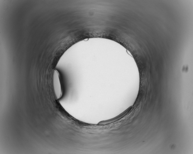 X0000097920025200804111151