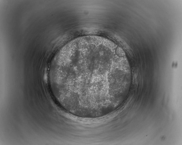 X0000097920026200804111151