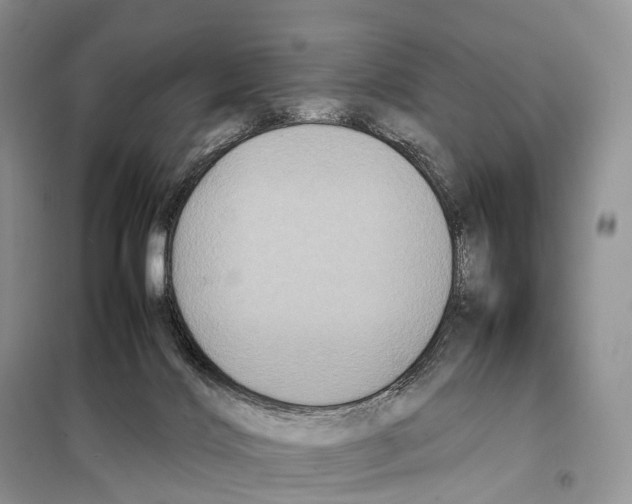 X0000097920028200804111151