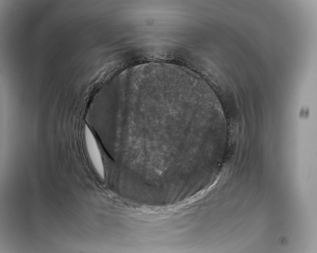 X0000097920029200804111151