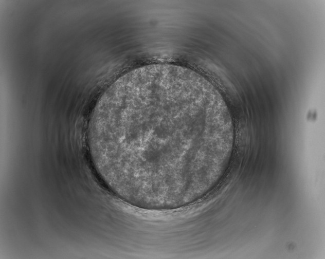 X0000097920030200804111151