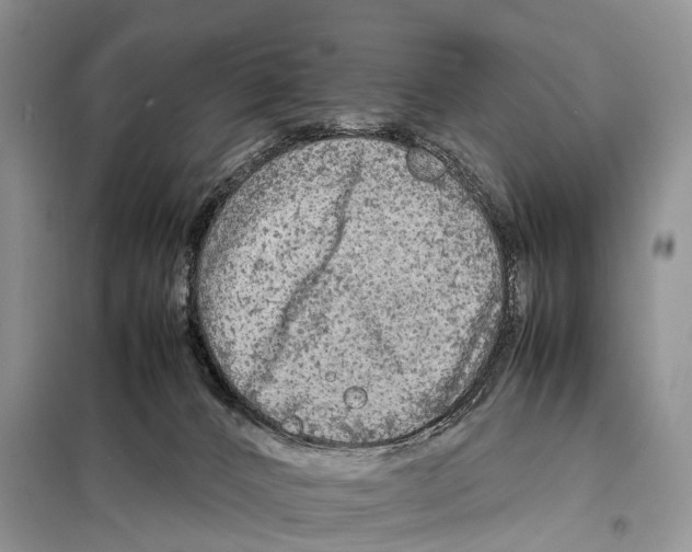 X0000097920032200804111151