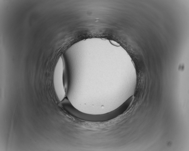 X0000097920033200804111151