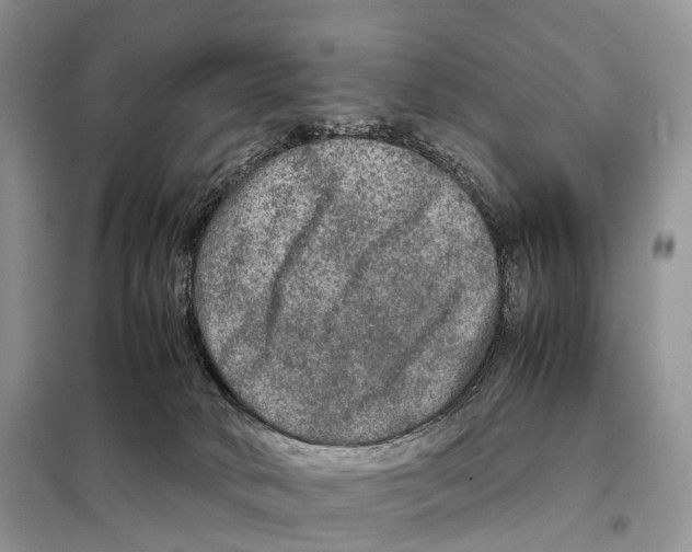 X0000097920034200804111151