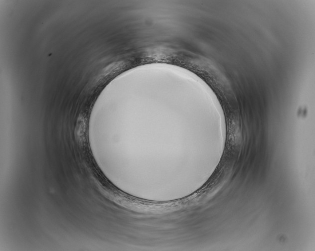 X0000097920036200804111151