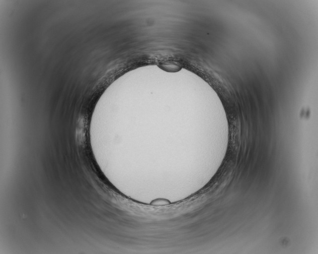 X0000097920038200804111151