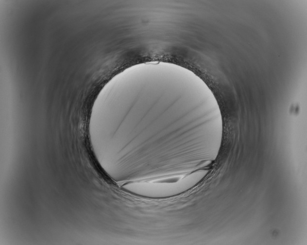 X0000097920039200804111151