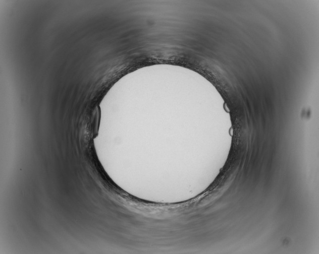 X0000097920040200804111151