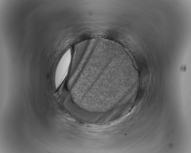 X0000097920041200804111151