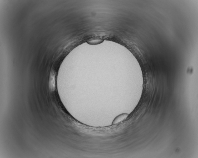 X0000097920042200804111151