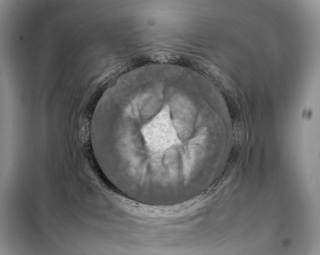 X0000097920043200804111151