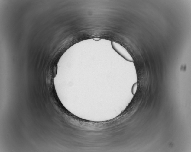 X0000097920044200804111151