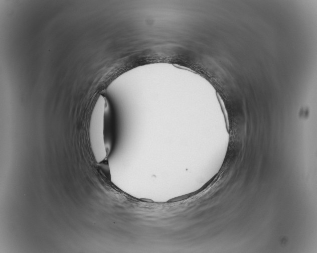 X0000097920045200804111151