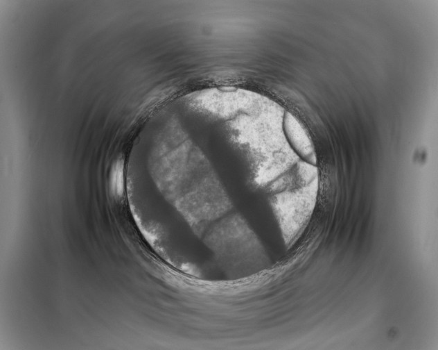 X0000097920046200804111151