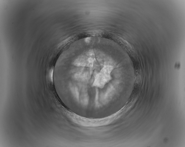 X0000097920047200804111151