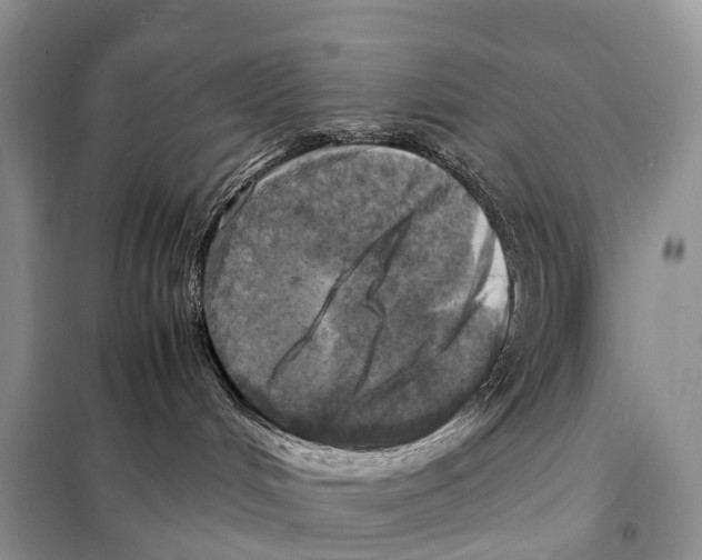 X0000097920048200804111151