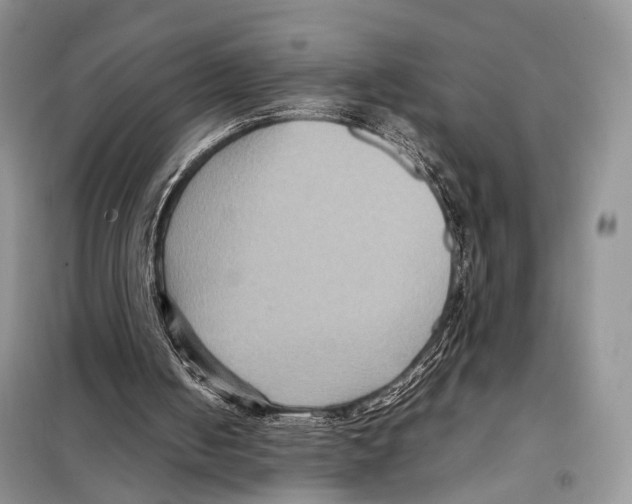 X0000097920050200804111150