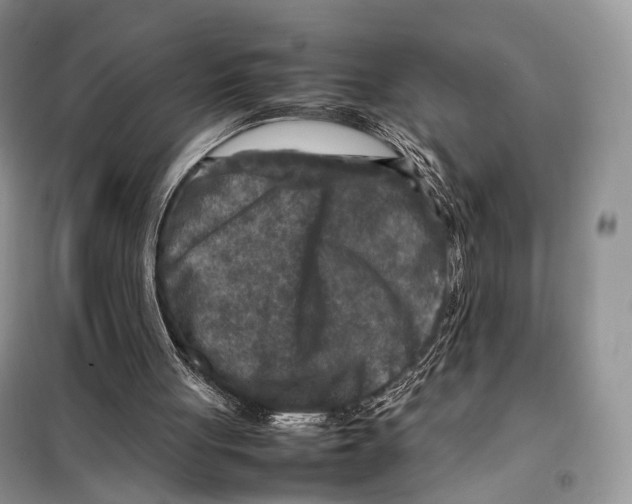 X0000097920051200804111150