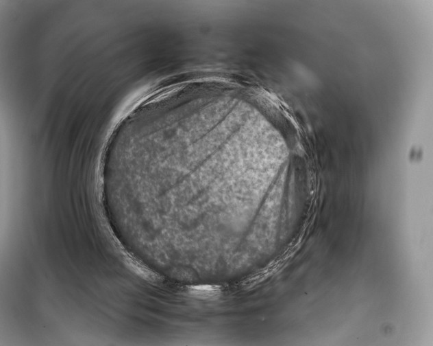 X0000097920053200804111150