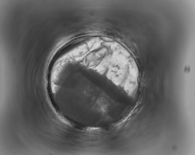 X0000097920055200804111150