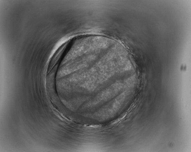 X0000097920056200804111150