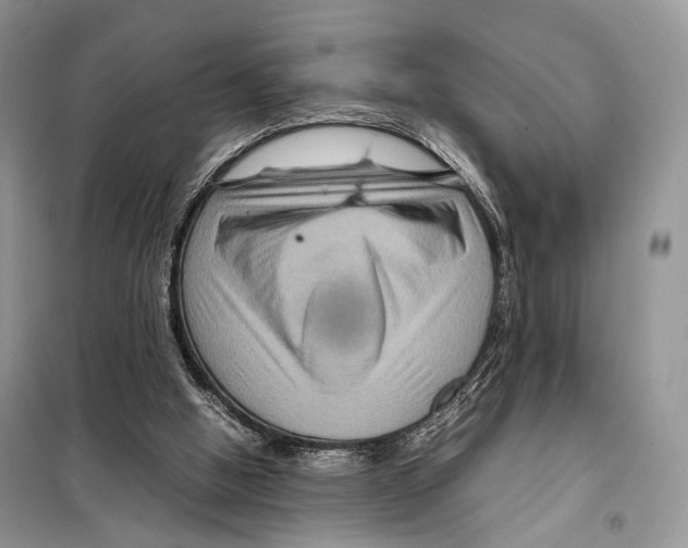 X0000097920058200804111150