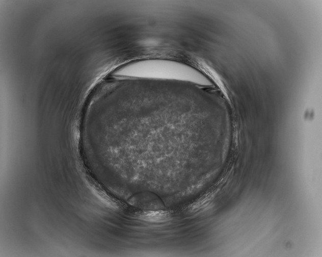 X0000097920059200804111150