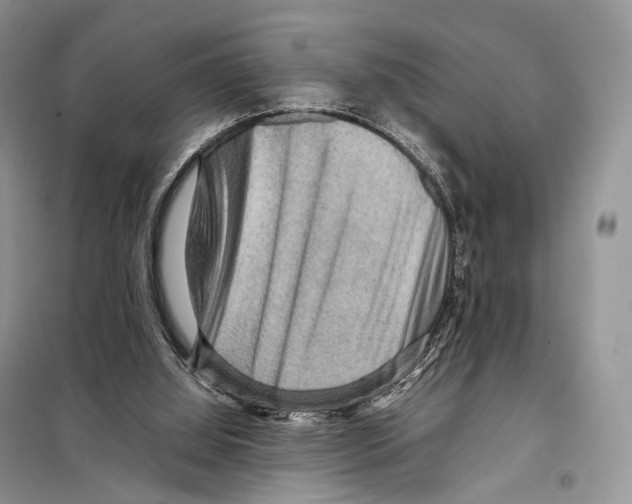 X0000097920060200804111150