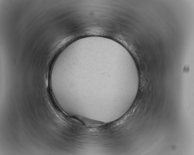 X0000097920062200804111150