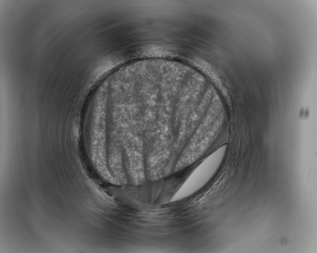 X0000097920063200804111150