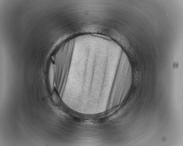 X0000097920064200804111150