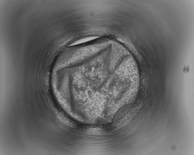 X0000097920066200804111150