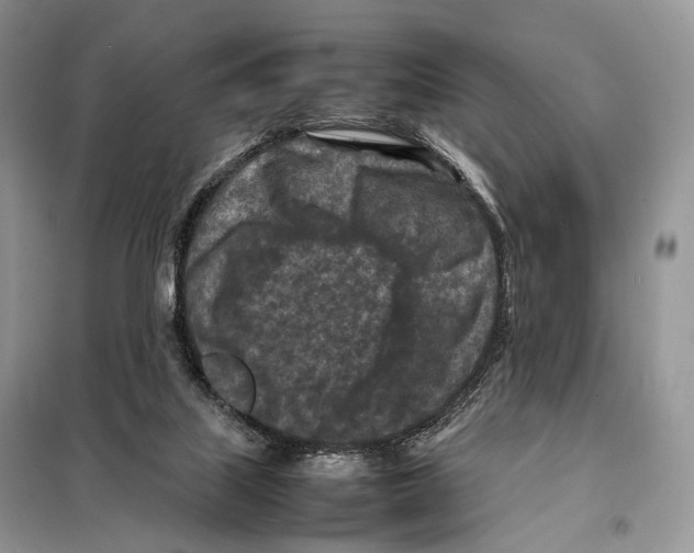 X0000097920067200804111150