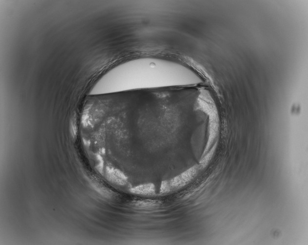 X0000097920069200804111151