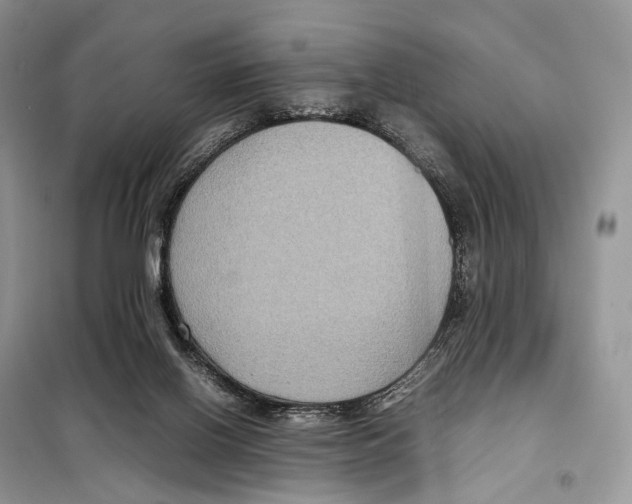 X0000097920070200804111151