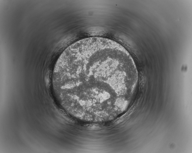 X0000097920074200804111151