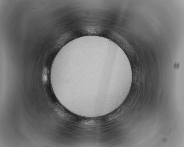 X0000097920075200804111151