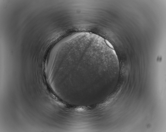 X0000097920076200804111151