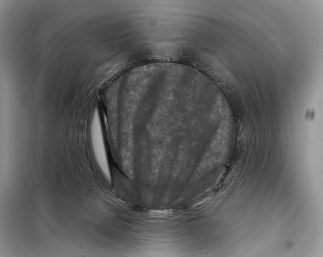 X0000097920080200804111151