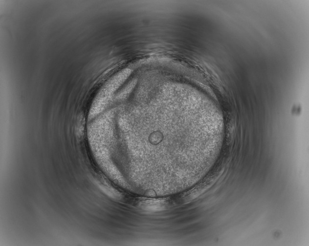 X0000097920081200804111151