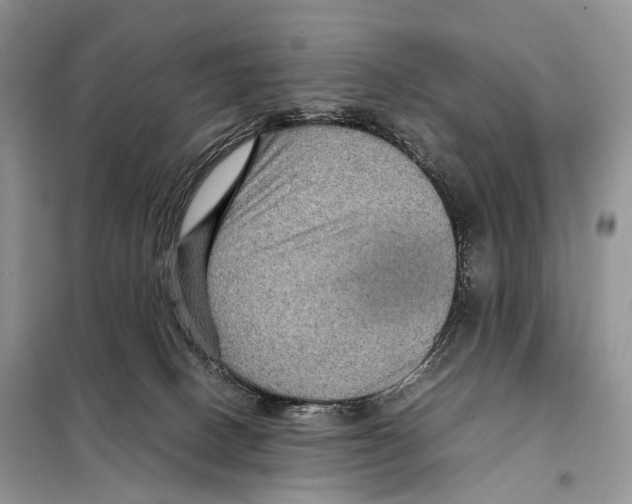 X0000097920082200804111151