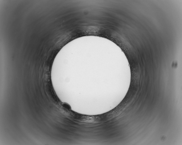 X0000097920083200804111151