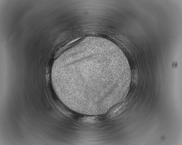 X0000097920086200804111151